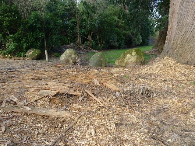 River terrace.  Boulders in entrance.  August 2011. Cambridge Tree Trust